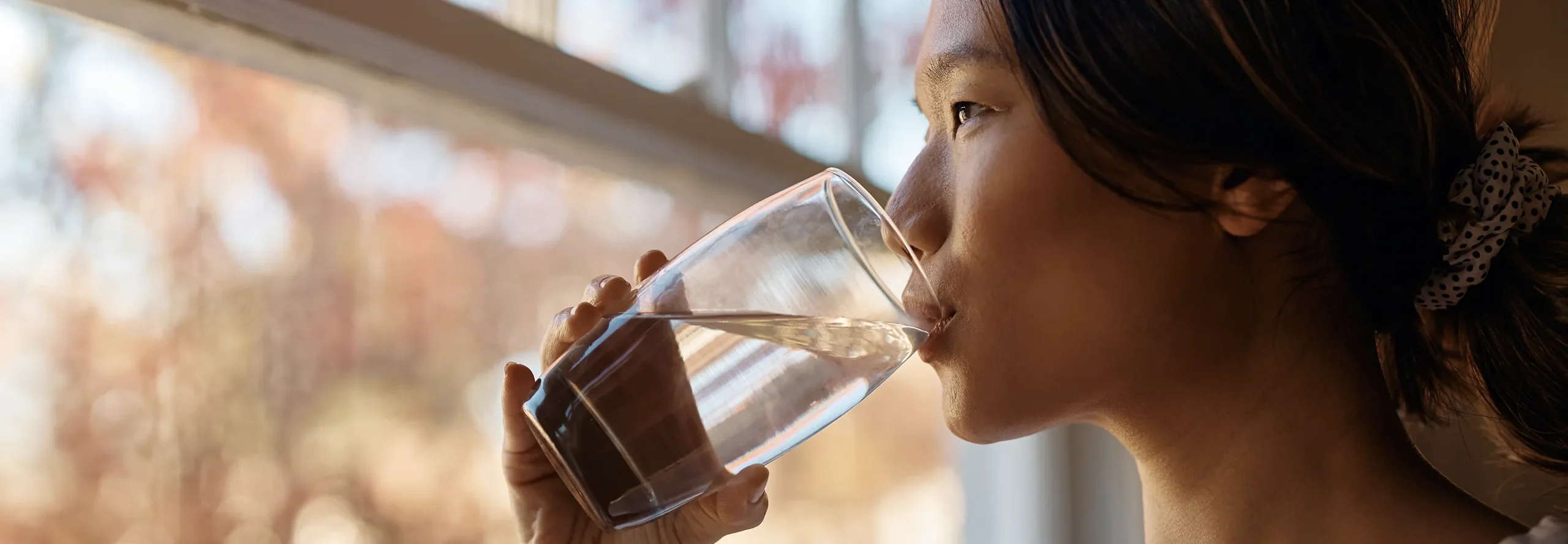 water-solutions-water-filtration